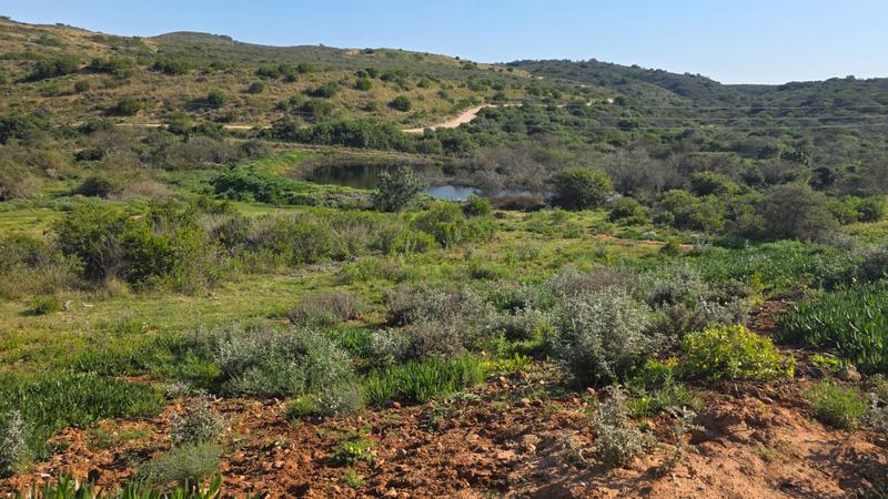 0 Bedroom Property for Sale in Outeniquasbosch Western Cape